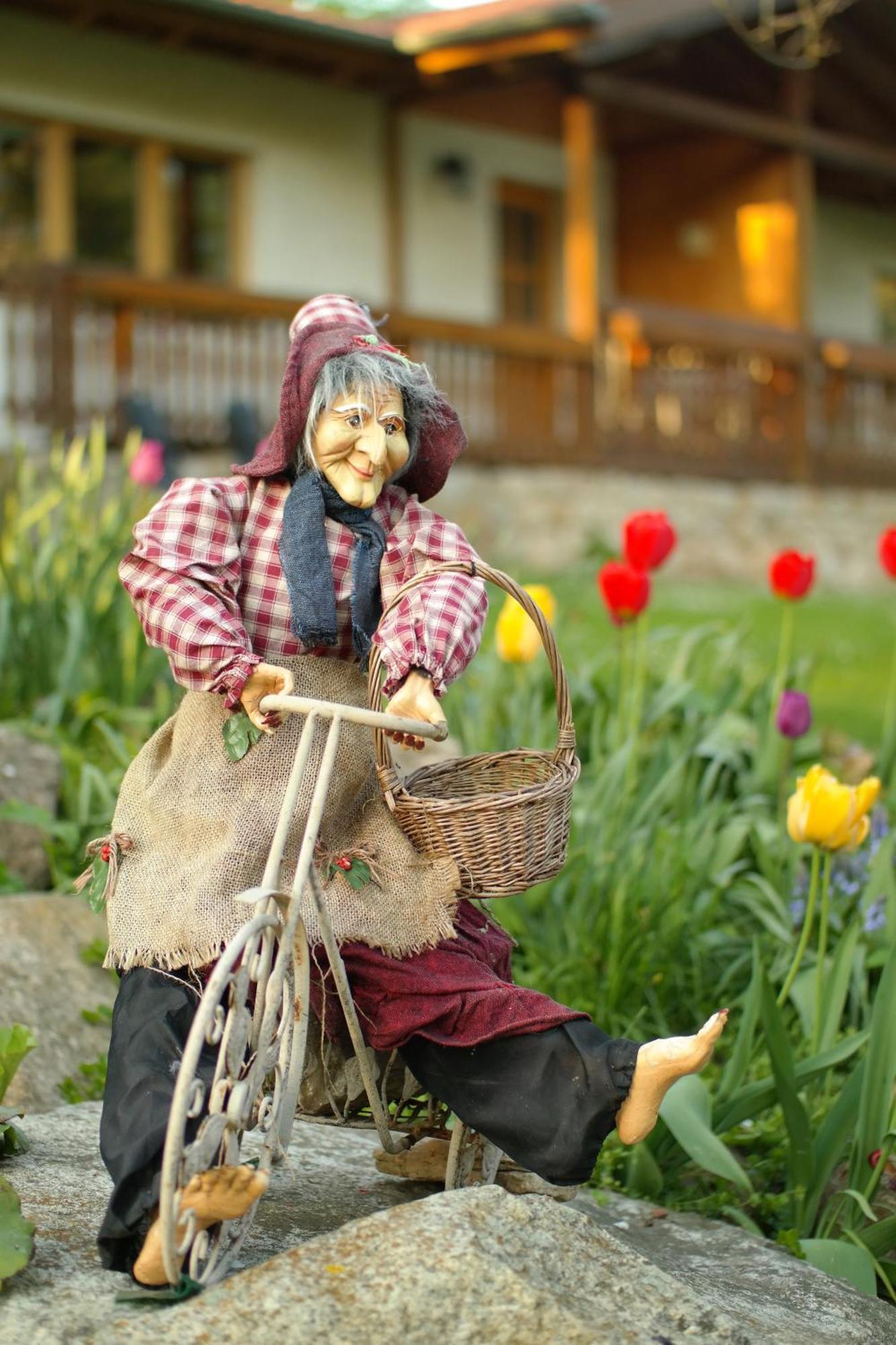 Harzer Feriengarten Quedlinburg Zewnętrze zdjęcie