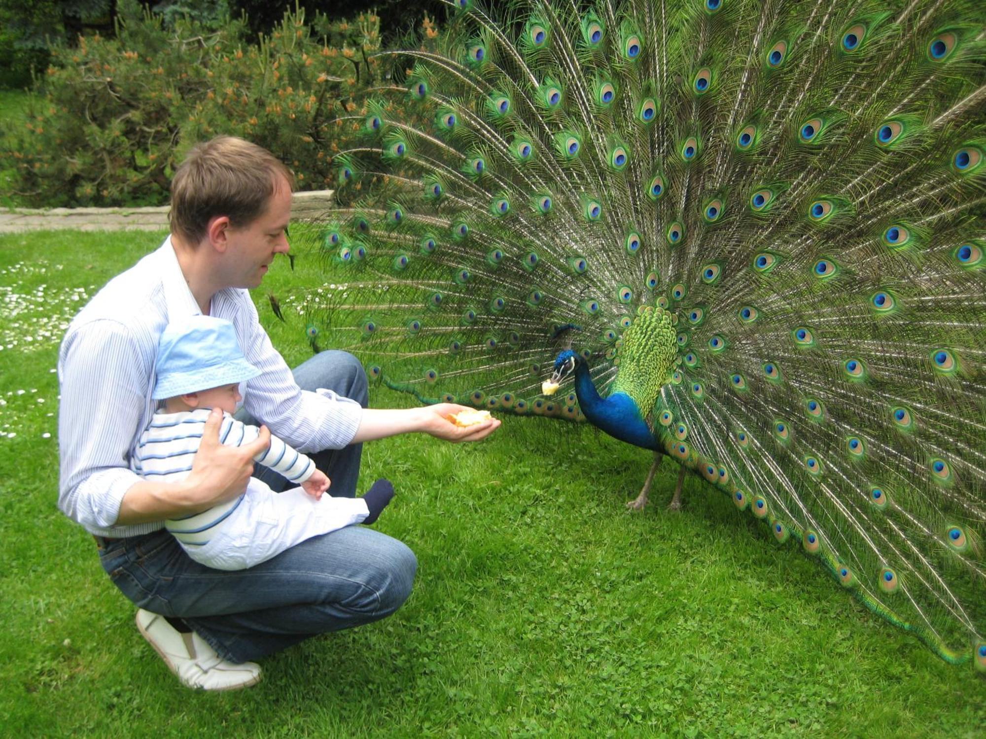 Harzer Feriengarten Quedlinburg Zewnętrze zdjęcie
