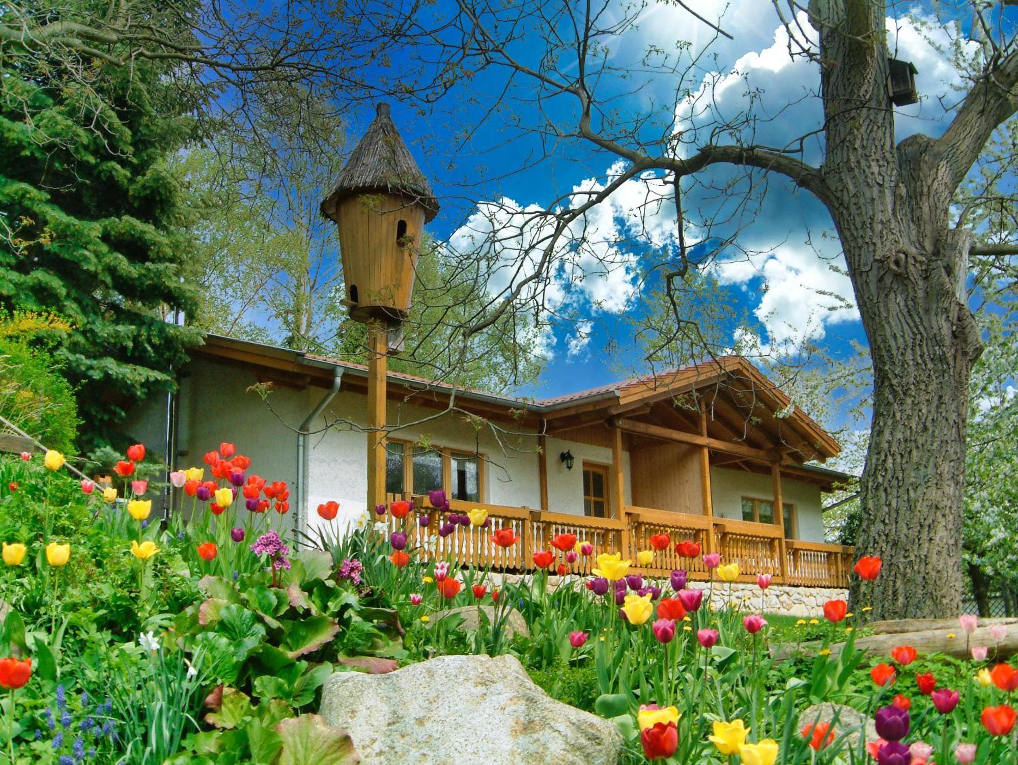 Harzer Feriengarten Quedlinburg Zewnętrze zdjęcie
